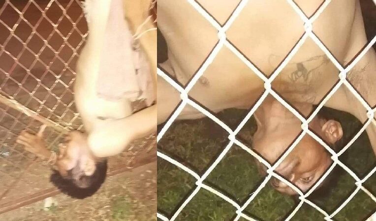 Torpe ladrón quedó colgado como zarigüeya en una maya metálica en Tekax