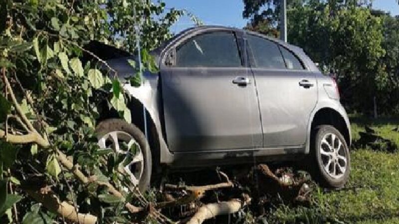 Por dormilón un conductor se estrelló contra un árbol en el periférico de Mérida