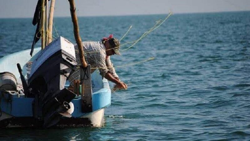 Pinta mal la pulpeada dicen pescadores se capturó menos de 20 kilos por embarcación
