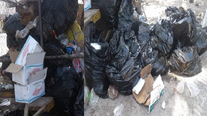 Turistas denunciaron tiraderos de basura en Santa Clara comisaria de Dzidzantún