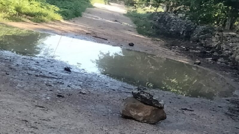 Exigen al alcalde de Dzidzantún petrolice una calle que prometió en campaña