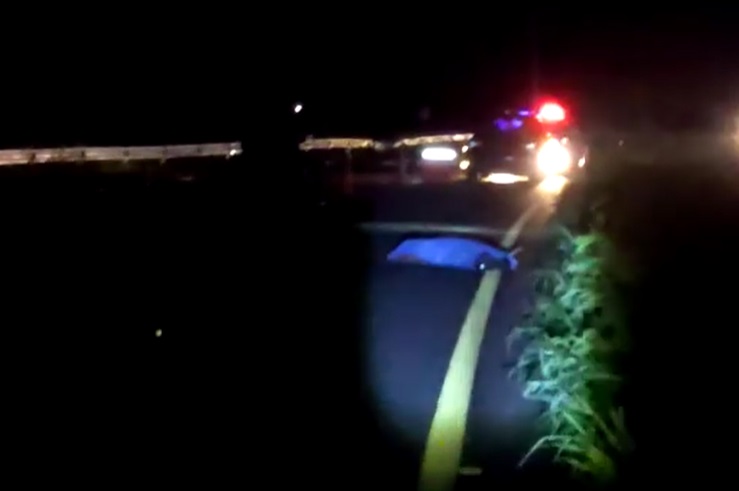 Un automovilista atropello, mato y abandono a un hombre en la Mérida-Cancún