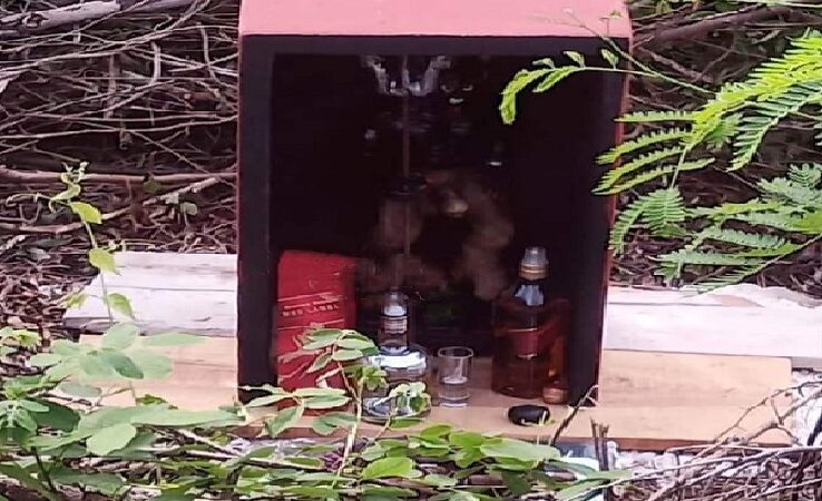 Colocan ofrendas al diablo en mortal crucero de Valladolid