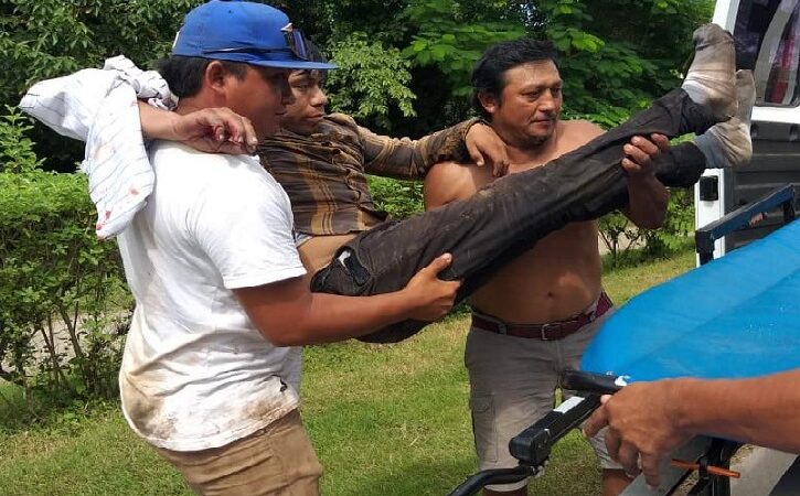 Un joven chapeaba en un rancho y lo mordió una víbora de cascabel