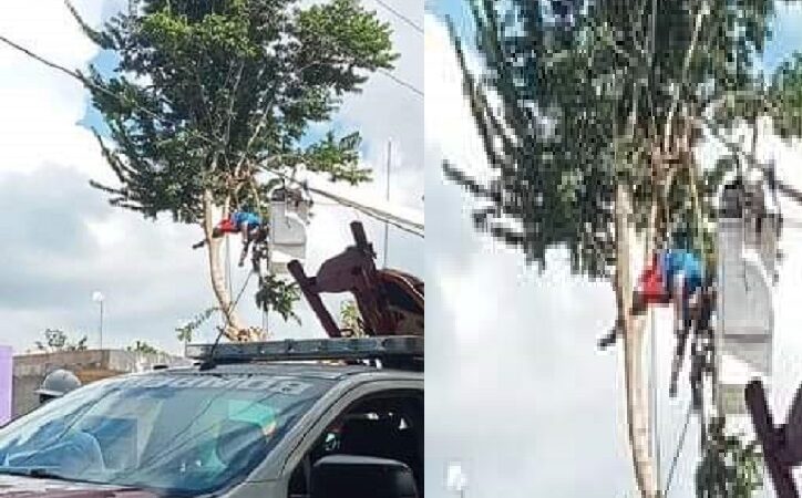 Un joven subió a cortar las ramas de un árbol y lo bajaron muerto en Subincancab