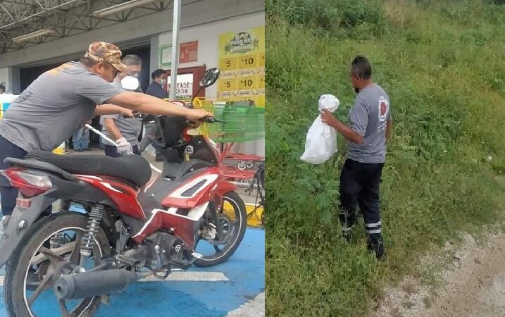 Atraparon una culebra “Ratonera” en Bodega Aurrera: la liberaron en montes de Motul