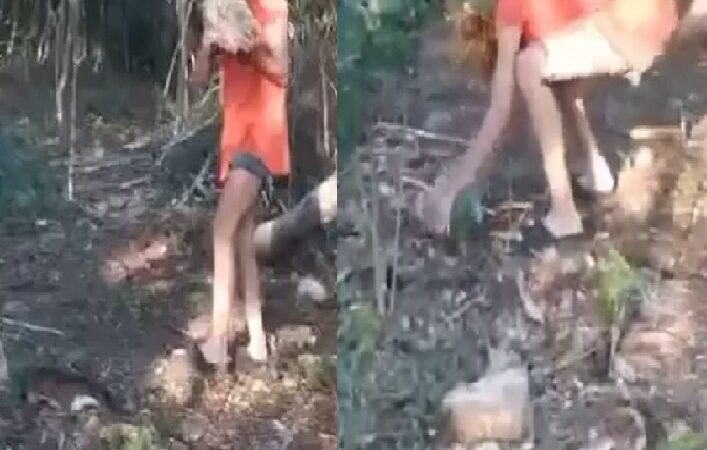 Menores torturaron y mataron a un gato en Dzemul: le aplastaron la cabeza