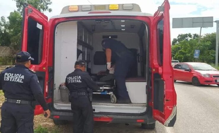 Un cazador salió a tirar venado, pero el mismo se venadeo en montes de Panabá