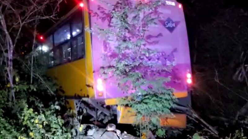 Un camionero salió de la vía y lesionó a dos personas: iba hablando por celular