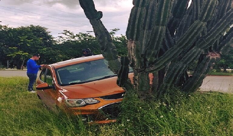 Chofer rápido y furioso salió de la carretera y terminó ensartado en un cactus