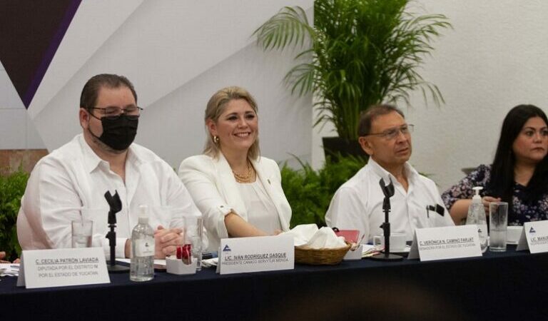 Empresarios yucatecos tiemblan ante reforma al “INE”: piden a legisladores “frenar la reforma”