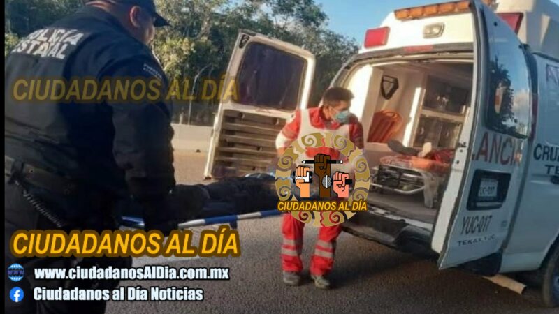 Veteranos salen de la carretera y chocan contra un árbol en la Valladolid-Cancún