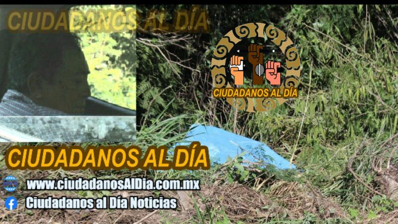 El chofer de una camioneta de Dzilam Gonzales atropello y mato al loncho en la vía Dzidzantún- Yobaín