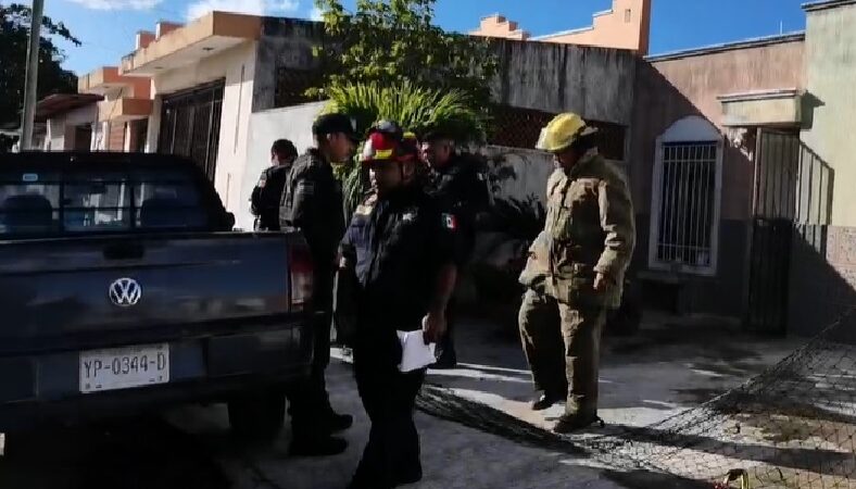 Por poco quema su casa en Progreso cuando freía pescado