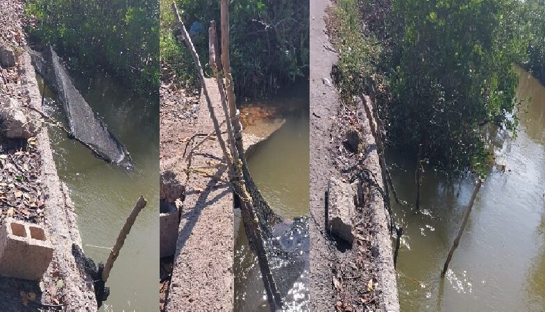No tienen llenadera, director de pesca acapara puentes donde se pesca camarón, piden intervenga la Semarnat