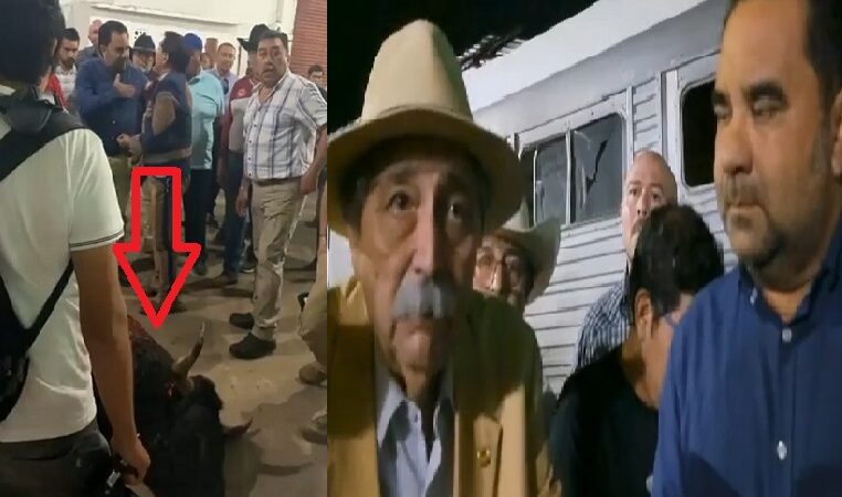 El zorro salvó al niño Ortega: La corrida en la Avilés de Motul resulto ser un fraude