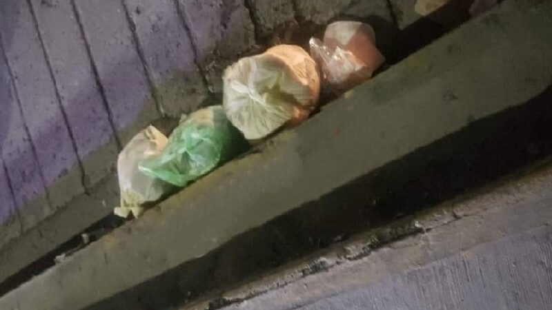 Se activa alerta por olor a putrefacto en el palacio de Motul: era una bolsa de pollos podridos.