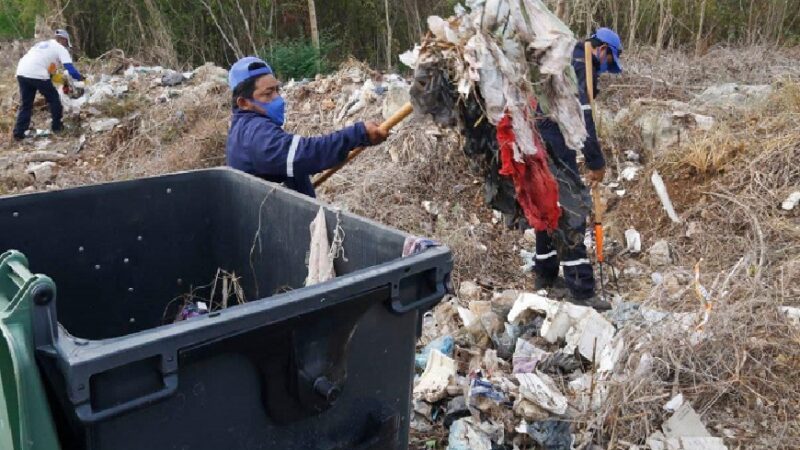 Mas de 500 toneladas de basura se tiran en áreas públicas y no llegan al relleno sanitario: SDS