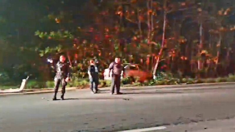 Choca contra un poste metálico y un árbol en la vía Progreso- Chelem