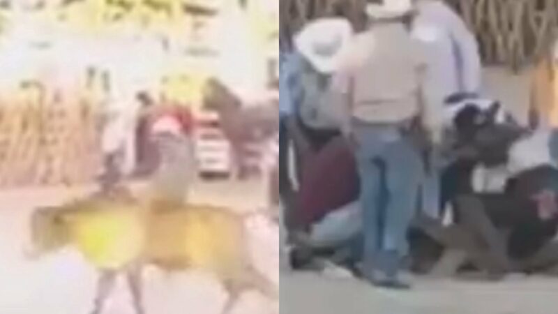 Por montar a un toro en la feria de Tizimín un vaquero terminó en un hospital