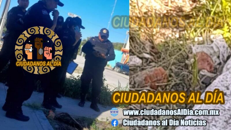 Hallan dos granadas de fragmentación en Famboyanes comisaría de Progreso