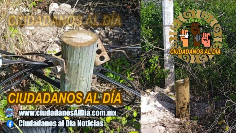 Roban en Dzidzantún nueve postes de Telmex, los cortaron con motosierra