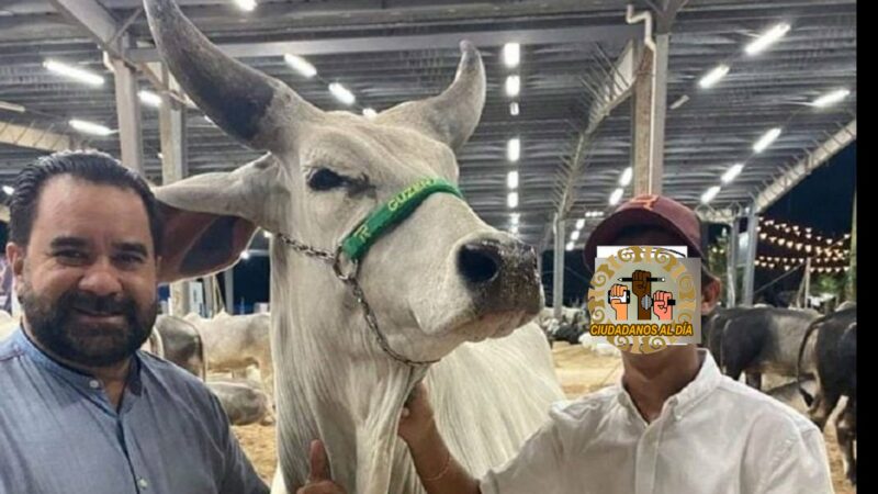 De rentador de mesas a ganadero el alcalde de Motul denuncian empleados municipales