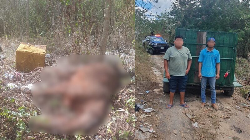 Detienen a dos sujetos por tirar un caballo destripado en la Mérida-Cancún