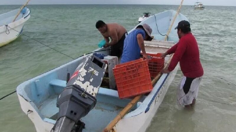 Solo pescadores empadronados recibirán apoyos estatales y federales: Sepasy