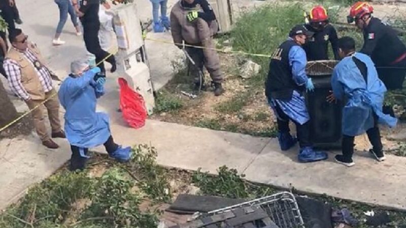 Mininarco abandonó a sus Pitbull que casi mataron a su cliente y se dio a la fuga
