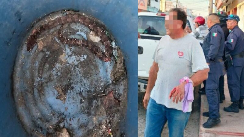 Tizimileño lo mordió una Wolpoch cuando bajaba leña de su camioneta