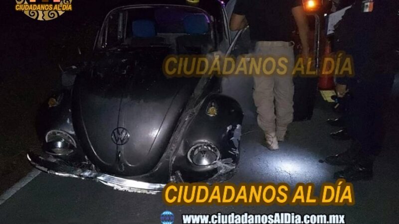 El Triste estrelló su Volkswagen Vocho contra un montículo de piedras 