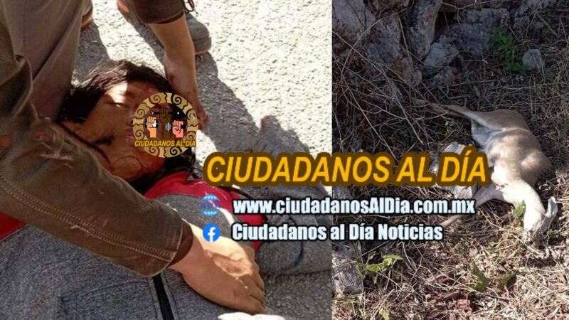 No llegaron a la procesión de Candelaria chocaron con un venado en Nolo