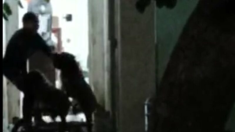 Feroz ataque de 25 minutos de dos  pitbull contra un joven