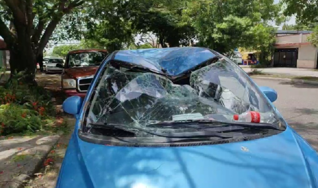 Una rama de Flamboyán aplastó su automóvil en la avenida Fidel Velázquez