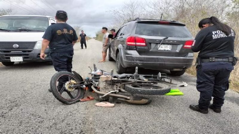 Un chofer por no majar un perro muerto, frena y causa que una familia choque contra su camioneta