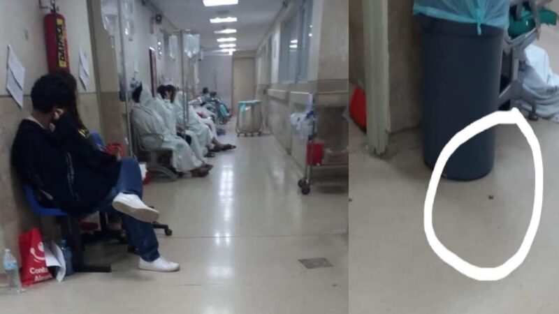 No hay doctores, pero sobran prepotencia y cucarachas en el hospital T1