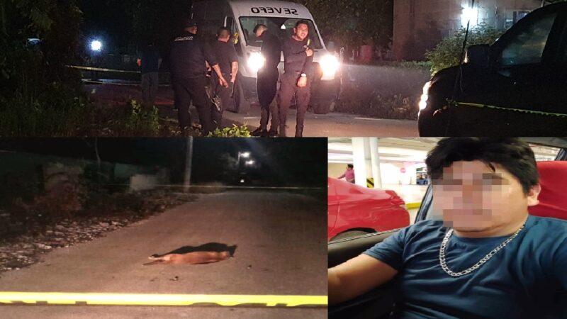 NO fue el “pollo”, Eduardo mató a la perrita, con una escopeta prestada