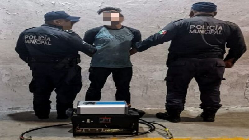 Detienen a una rata de dos patas dentro de una congeladora en Progreso