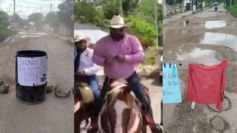 El Zorro Rata tiene para caballos pura sangre, pero no para bachear calles de Motul