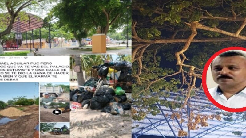 Comuna sin recursos para cortar una rama a punto de caer en el parque de Dzidzantún