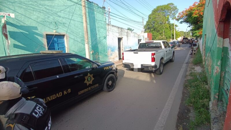 Una familia de mininarcos se duermen y los detienen en una casa de Conkal