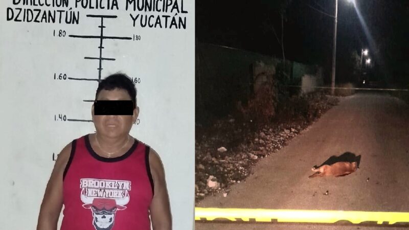 Vincularon a proceso a sujeto que m@tó de un balazo a un perro en Dzidzantún: Podría pasar hasta cinco años preso