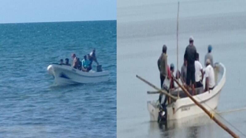 Buzos locales y furtivos se pelean por la depredación de pulpo en Santa clara