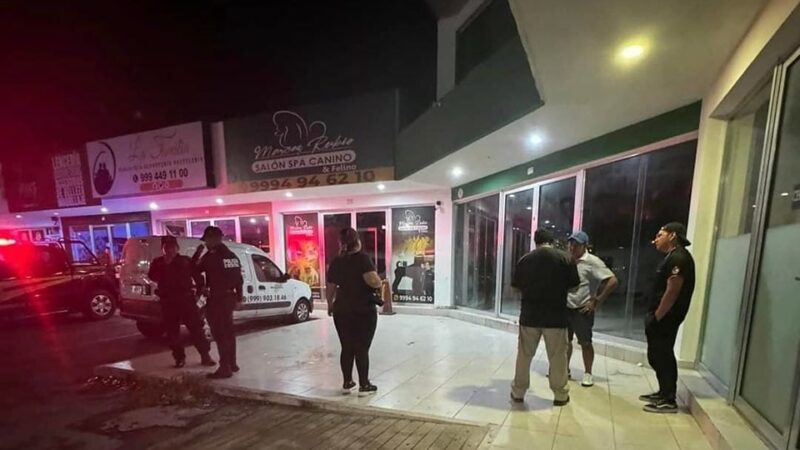 Clausuran una estética canina en Ciudad Caucel por matar a una mascota asfixiada