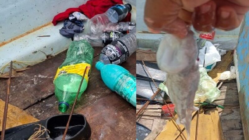 Buzos furtivos siguen con la depredación de Pulpo en Telchac y la zona costera