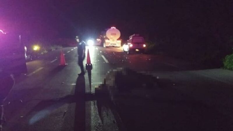 Una familia quedó lesionada tras chocar contra una vaca en la carretera Tizimín- Buctzotz