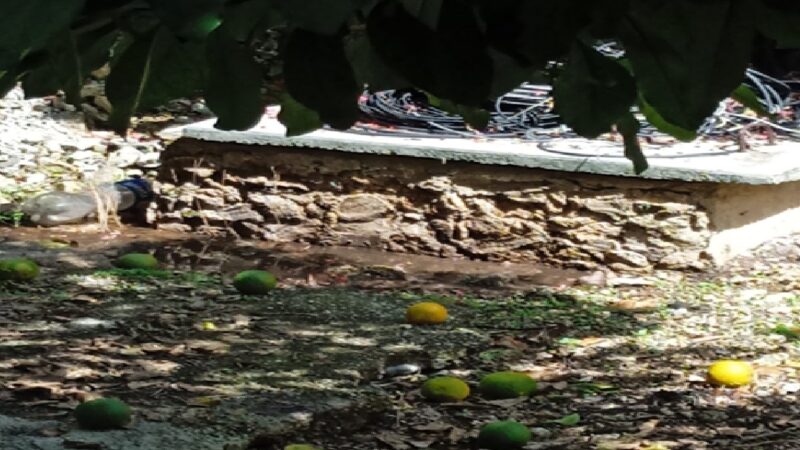 La secretaria del alcalde de Dzidzantún contamina con su sumidero rebosante: No lo limpia