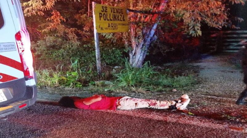 Un joven motociclista derrapa por un perro y se fractura la mandíbula en la vía Dzidzantún- Cansahcab