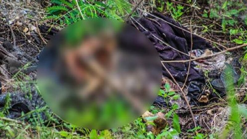 Hallan los restos humanos de un motociclista en la autopista Mérida- Cancún